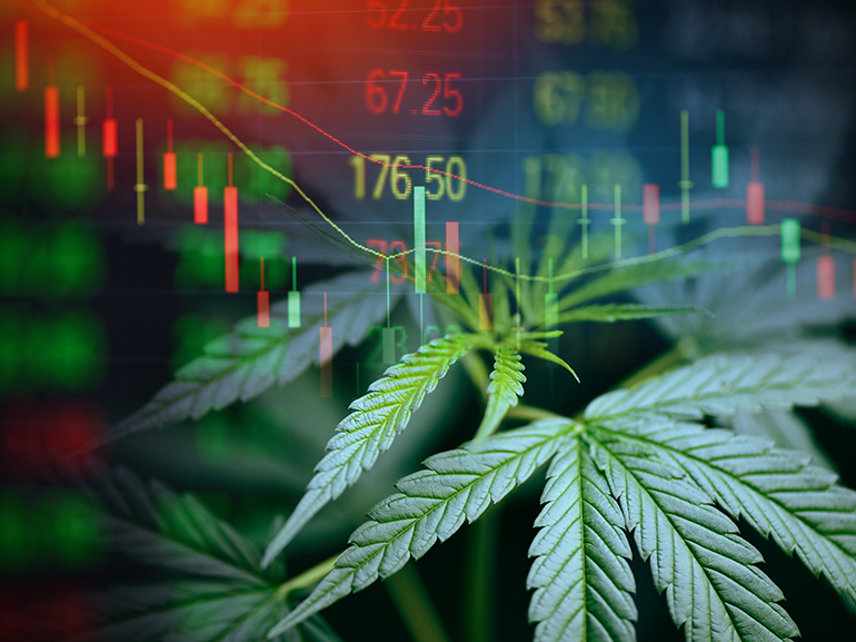 Read more about the article The Impact of Cannabis Consumption on Trading Profitability